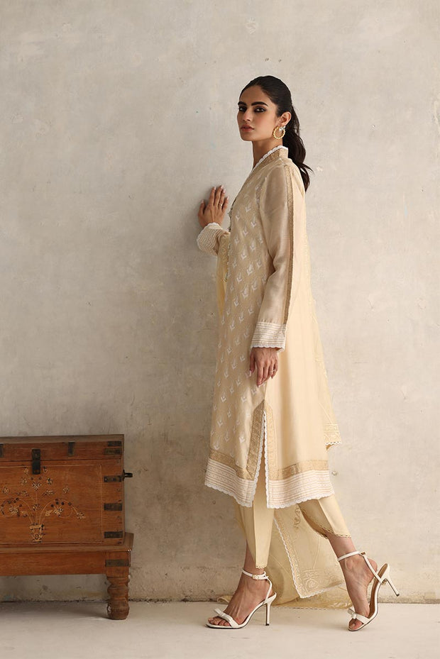 Party Wear Salwar Kameez