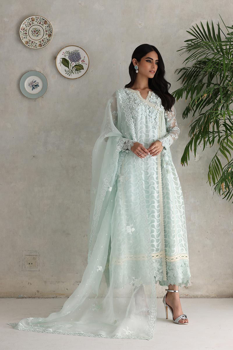 Party Wear Salwar Kameez