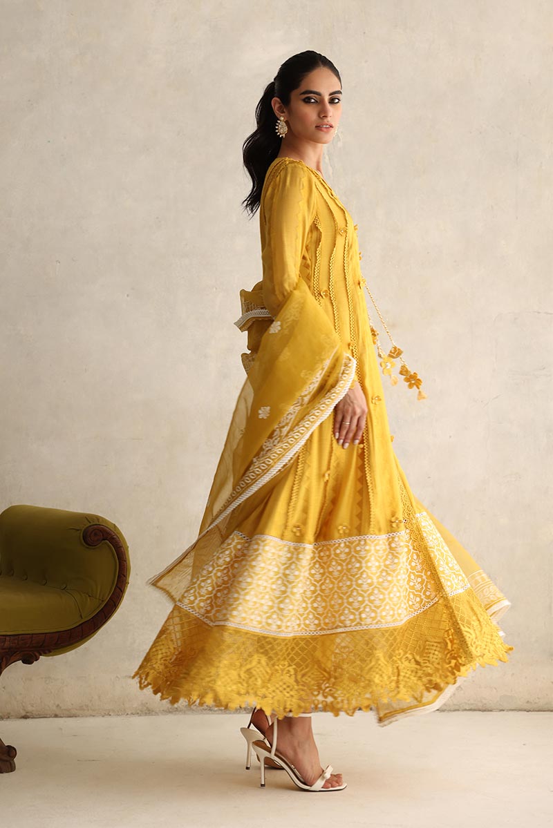 Party Wear Salwar Kameez
