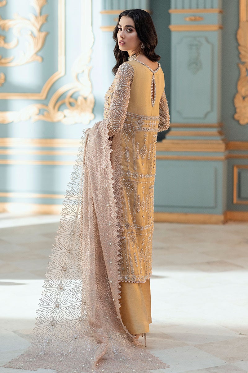Party Wear Salwar Kameez