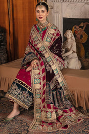 Party Wear Salwar Kameez with a Velvet Shawl