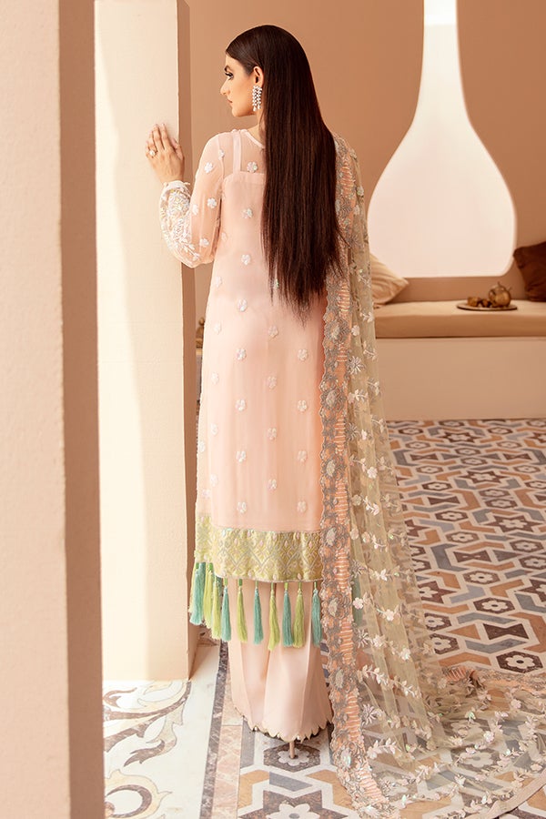 Peach Pakistani Dress with Long Kameez