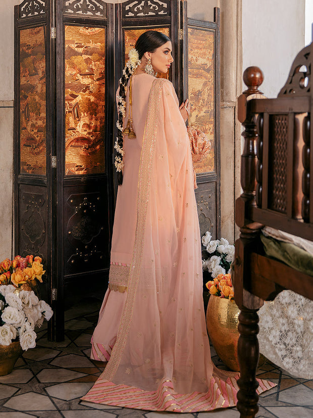 Peach Punjabi Sharara Suits for Pakistani Dresses