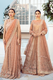 Peach Saree in Net with Elegant Embroidery Work Designer