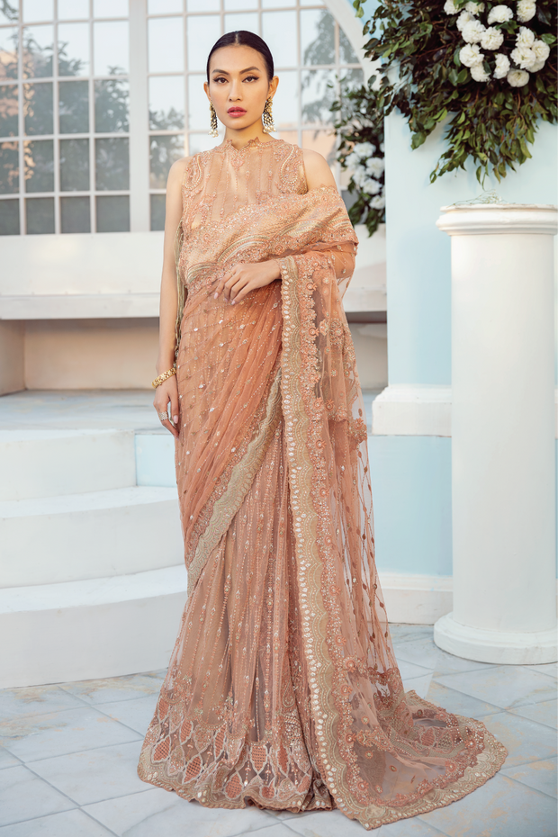 Peach Saree in Net with Elegant Embroidery Work