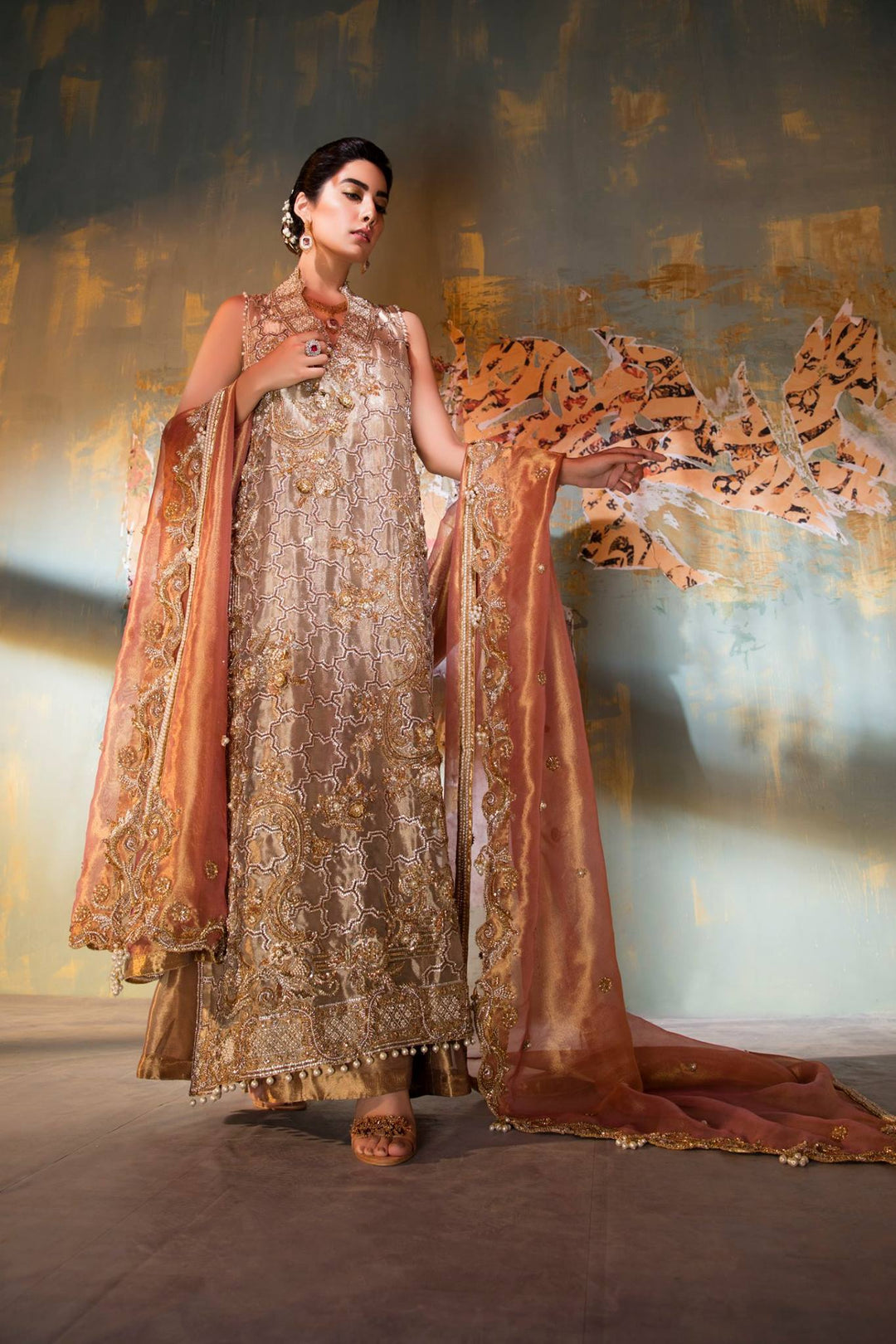 Soft Pakistani Reception wear