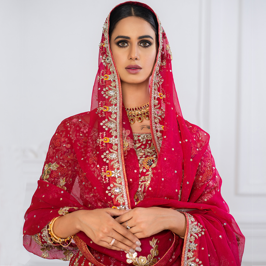 Pink Lehenga Choli
