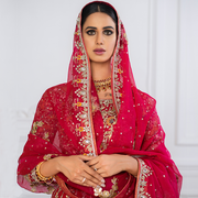 Pink Lehenga Choli