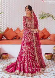 Pink Lehenga Choli
