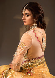 Pink Lehenga Gown Design