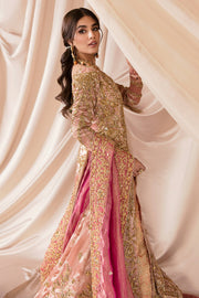 Pink Long Gown Lehenga Pakistani