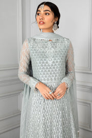 Pishwas Dress Pakistani in Light Grey Shade Designer