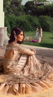 Pishwas Dress Pakistani in Soft Peach Shade #PF254