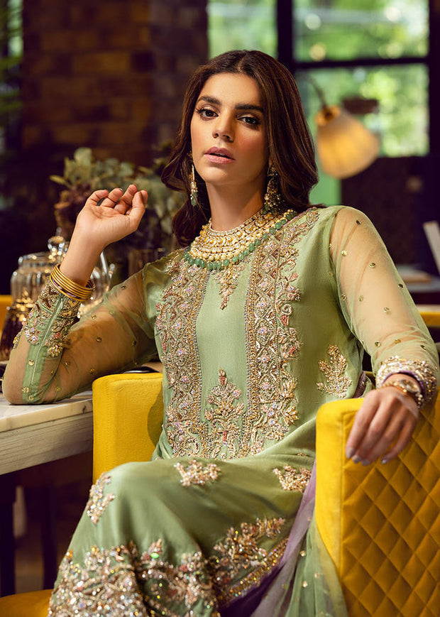 Pista Plain Raw Silk Dresses Pakistani Party Wear Outfit Nameera by Farooq