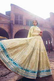 Pistachio Color Dress Pakistani in Traditional Pishwas Style