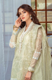 Premium Chikan Kari Pakistani Salwar Kameez Dupatta Dress