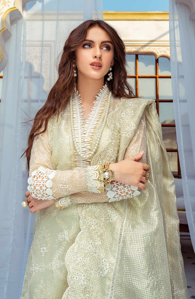 Premium Chikan Kari Pakistani Salwar Kameez and Dupatta