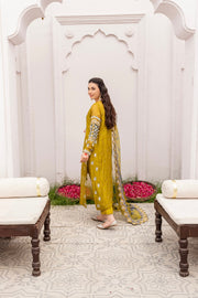 Premium Embellished Pakistani Kameez Pants with Dupatta Dress