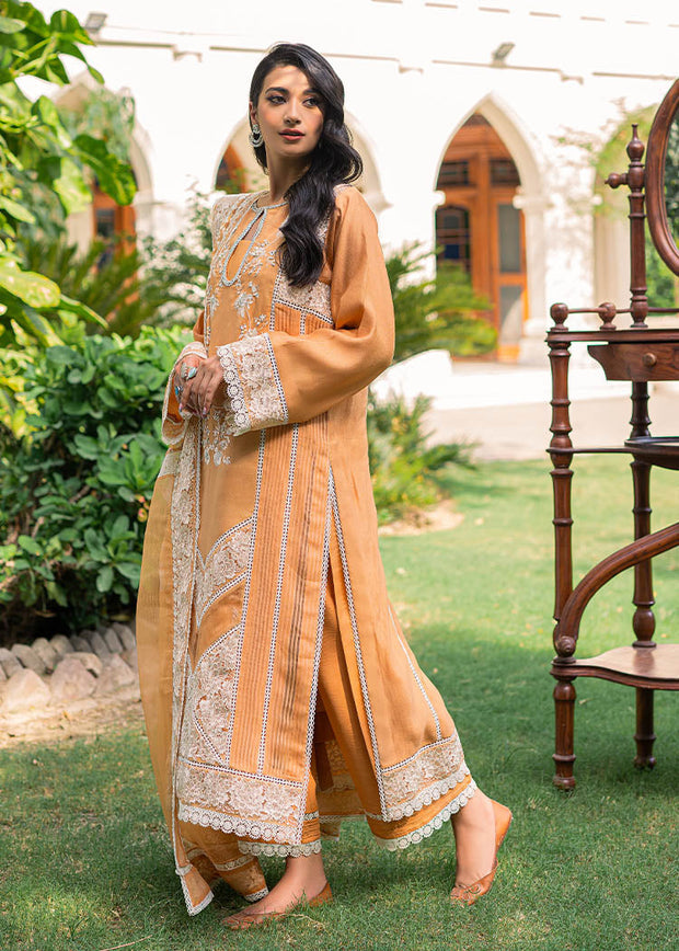 Premium Orange Dress Pakistani in Salwar Kameez  Dupatta Style