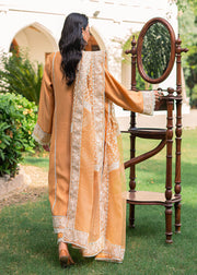 Premium Orange Dress Pakistani in Salwar Kameez Style Online