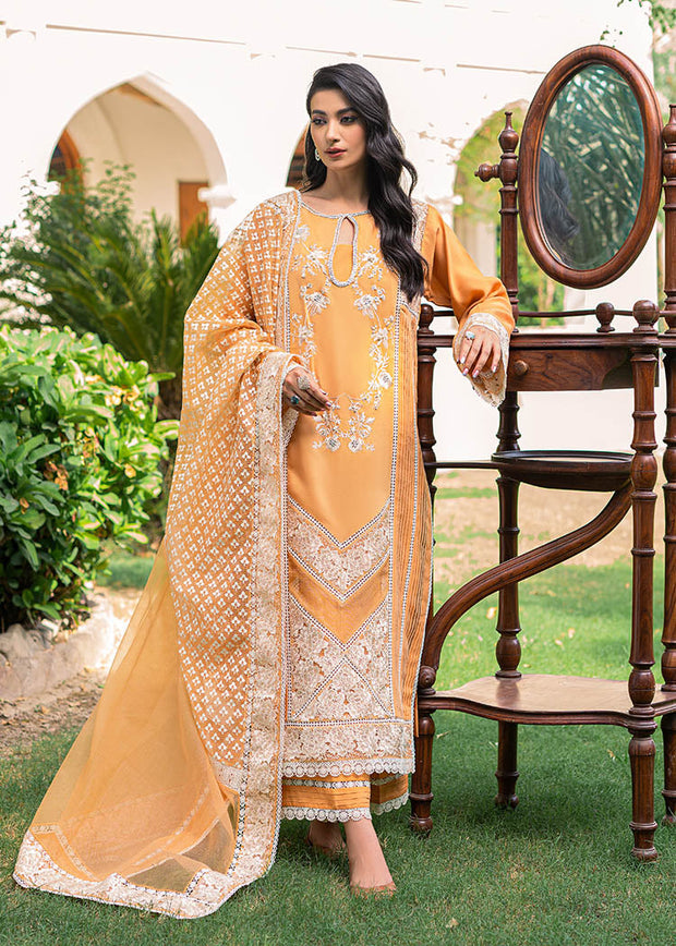 Premium Orange Dress Pakistani in Salwar Kameez Style