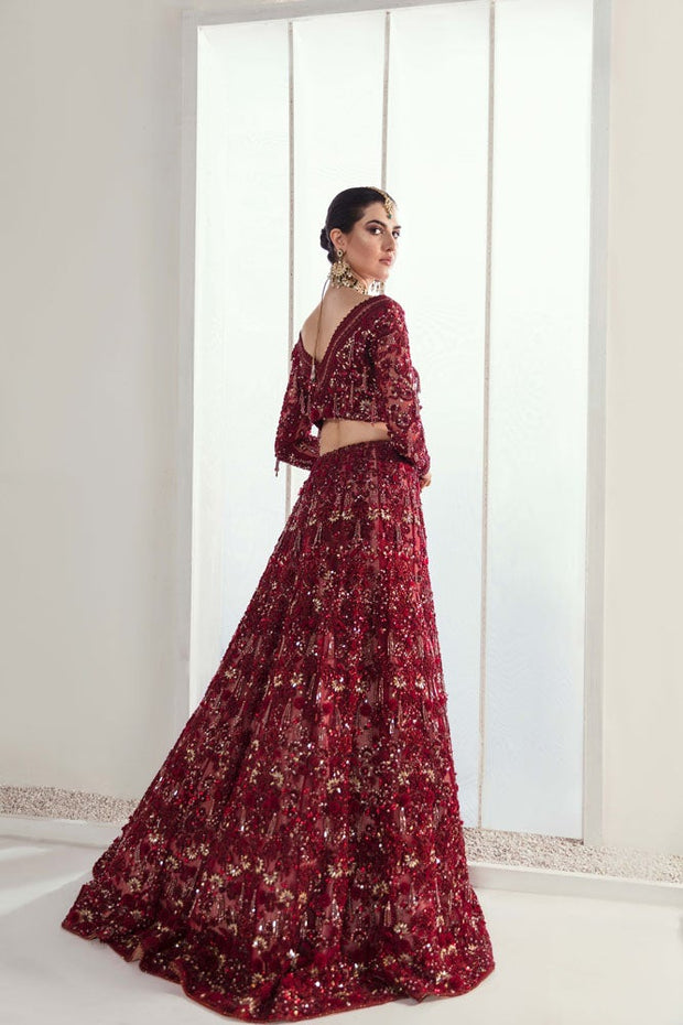 Red Beautiful Indian Wedding Dress for Bride