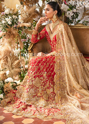 red bridal pakistani dress