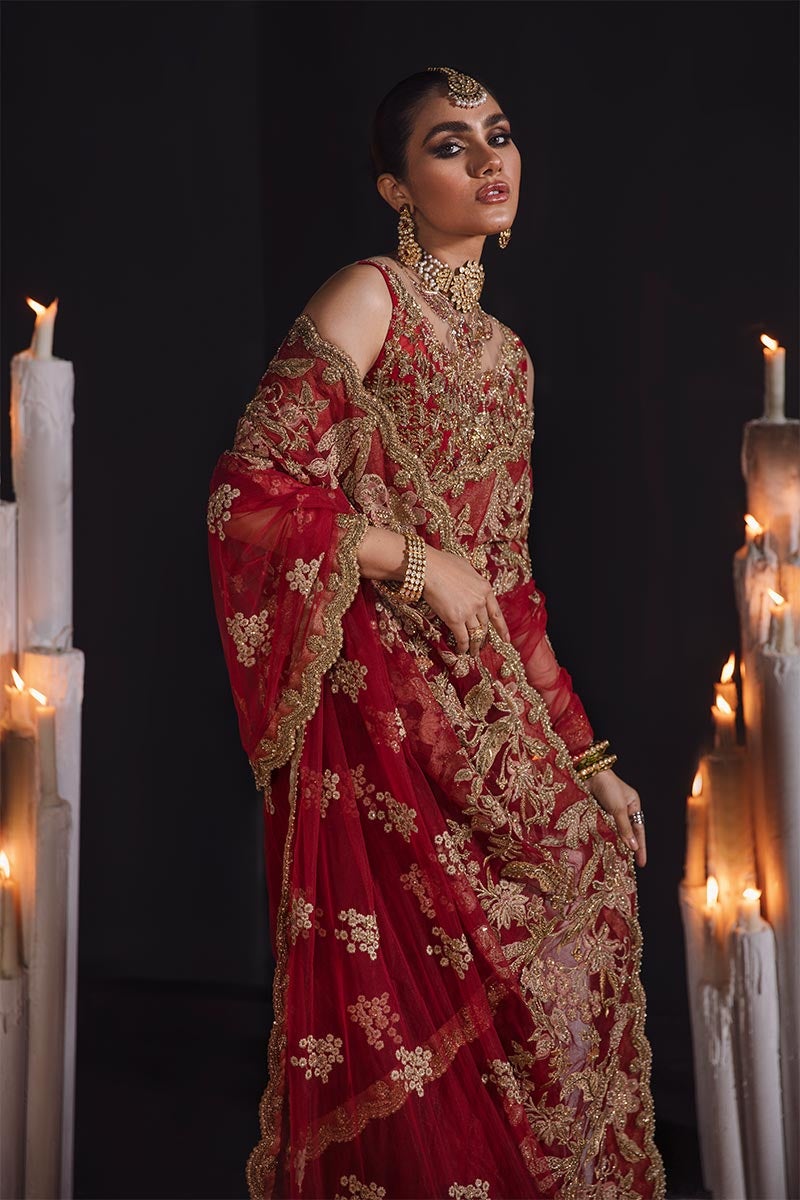 Embellished Red Bridal Saree in Net Chiffon for Wedding Wear – Nameera ...