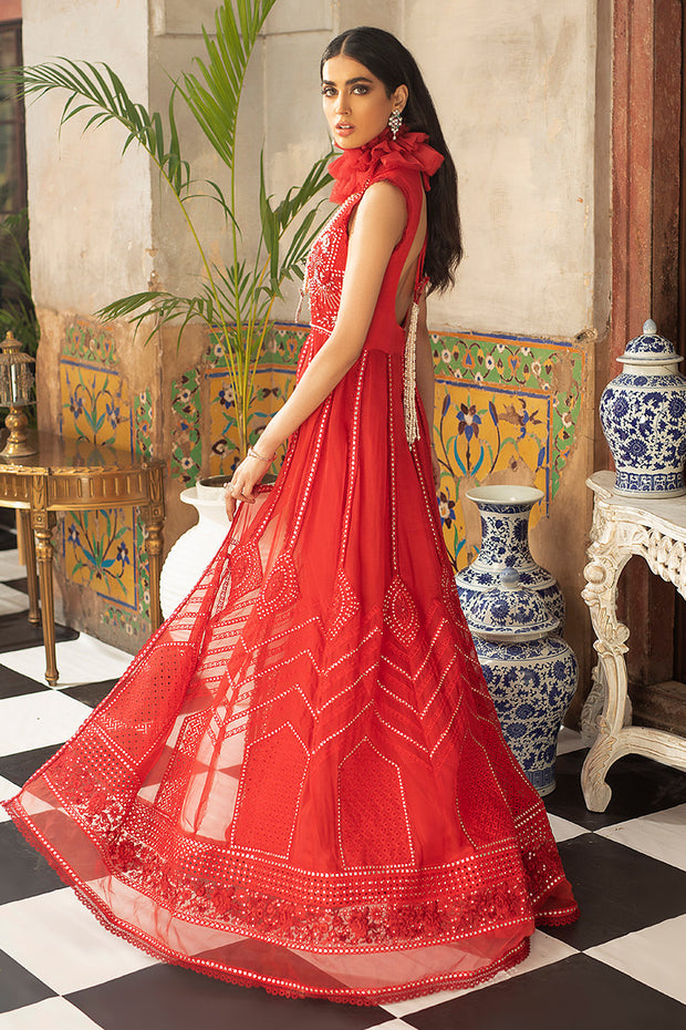 Red Chiffon Party Wear with Embroidery Backside Look