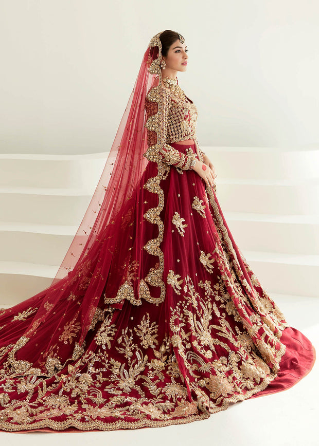 Red Gown Lehenga Design Dress