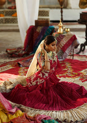 Red Lehenga Choli Bridal Dress 2022