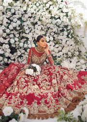 Red Lehenga Choli