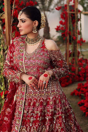 Red Silver Lehenga Choli 