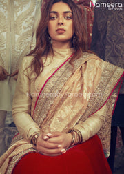 Red Velvet Lehenga Choli