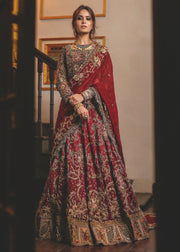 Beautiful red ghaghra choli bridal dress with alluring designing