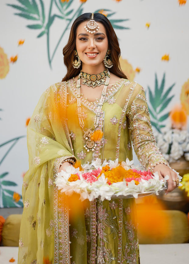 Royal Angrakha Kameez Trouser Dupatta Pakistani Wedding Dress