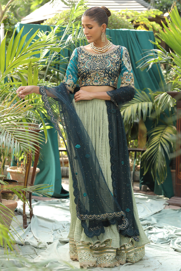 Royal Color Pakistani Embroidered Lehenga Choli Wedding Dress