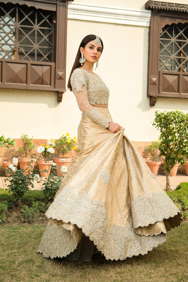 Royal Embellished Lehenga Choli Pakistani Bridal Dress Online