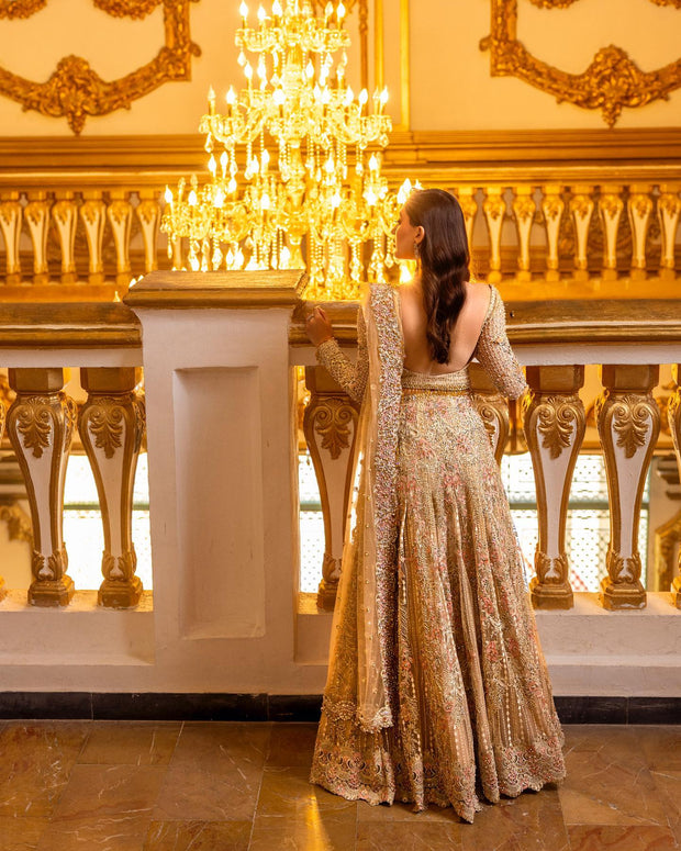 Royal Embellished Lehenga and Choli Pakistani Bridal Dress