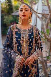 Royal Embroidered Pakistani Dress in Kameez Trouser Style