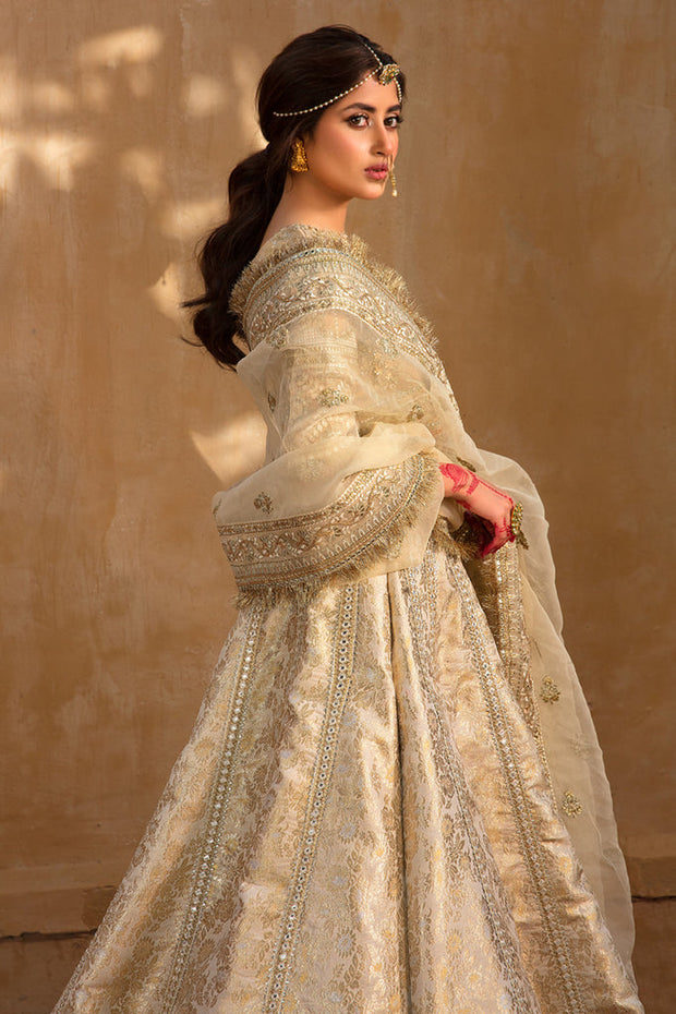 Royal Embroidered Pakistani Lehenga Blouse and Dupatta Dress
