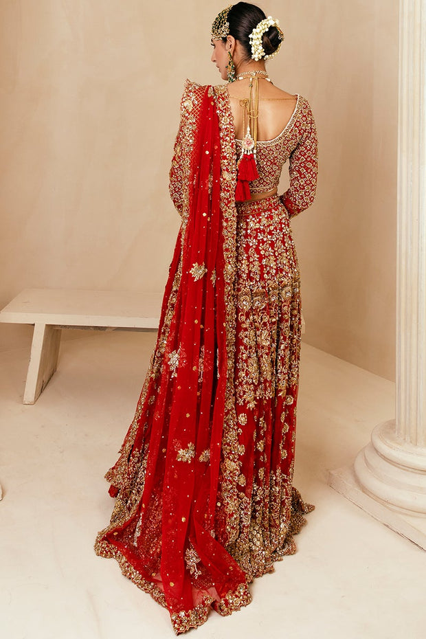 Royal Indian Red Lehenga Choli Dupatta Dress #BS879