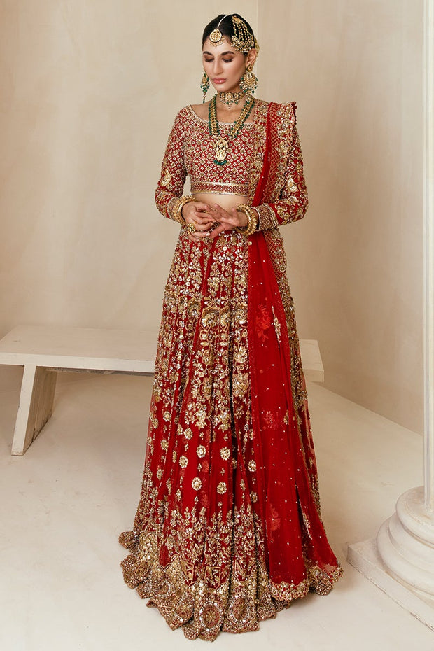 Royal Indian Red Lehenga Choli Dupatta Dress #BS879
