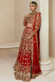 Royal Indian Red Lehenga Choli Dupatta Dress #BS879