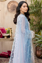 Royal Kameez Trouser Pakistani Eid Dress in Premium Chiffon