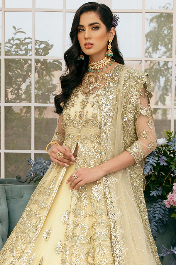 Royal Lehenga with Front Open Gown Pakistani Dress