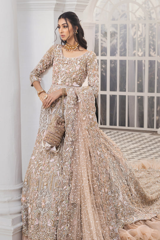 Royal Long Tail Maxi Dress Pakistani for Bride