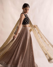 Royal Mirror Work Lehenga Choli Pakistani Bridal Dress