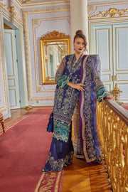 Royal Net Kameez and Raw Silk Trouser Pakistani Wedding Dress