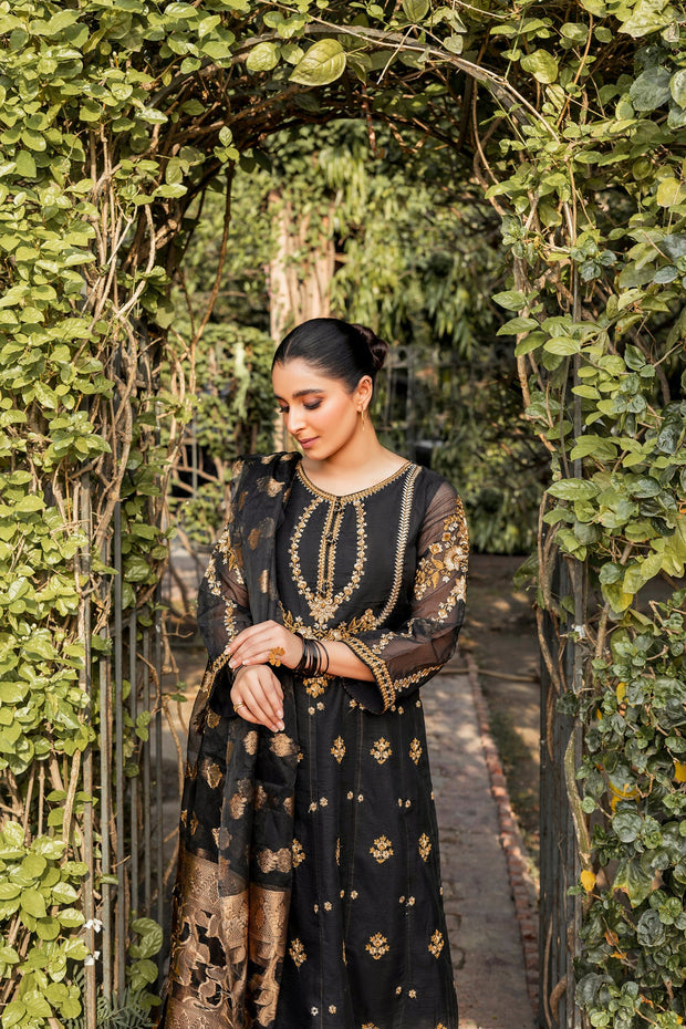 Royal Pakistani Black Eid Dress in Pishwas Frock Style